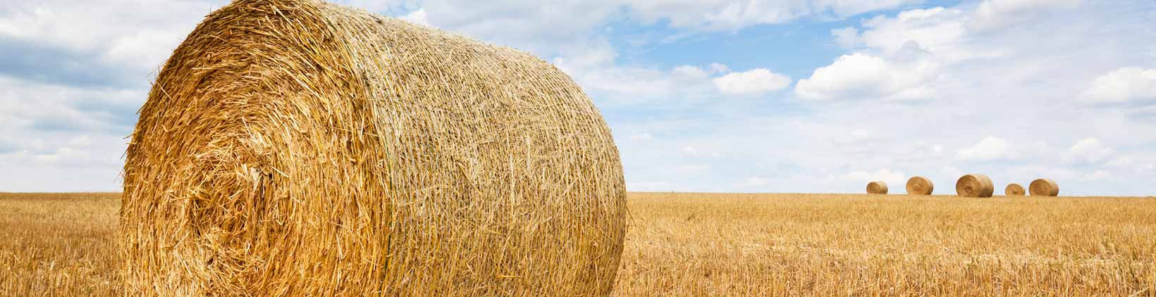 Strohballen